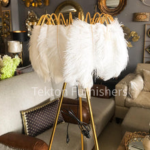 Load image into Gallery viewer, Feathered floor lamp